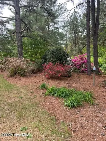 1801 Mcdonald Avenue Hamlet NC 28345