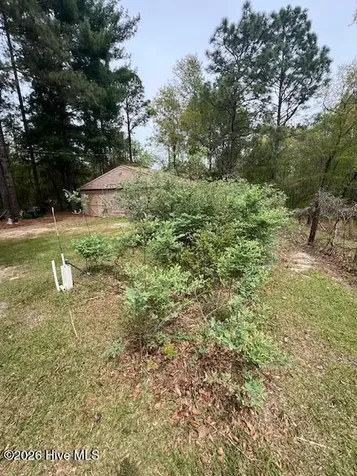 1801 Mcdonald Avenue Hamlet NC 28345