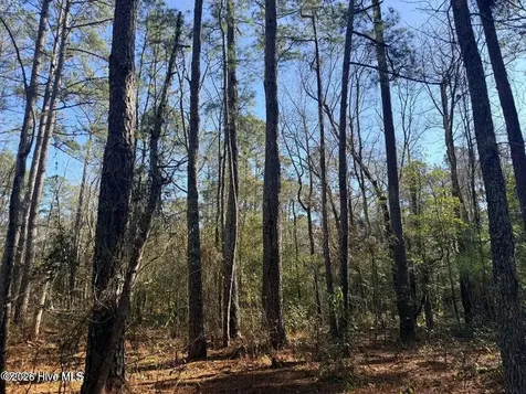 Lot 6 Peach Court Burgaw NC 28425