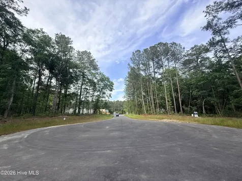 Lot 6 Peach Court Burgaw NC 28425