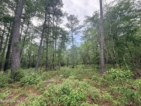 Lot 6 Peach Court Burgaw NC 28425