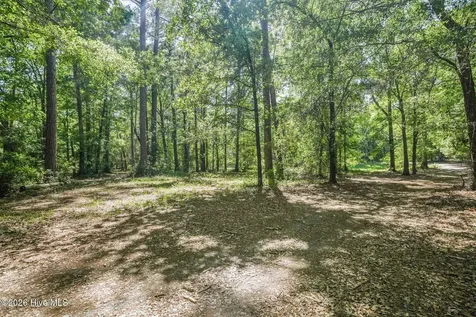 195 Long Leaf Drive Wallace NC 28466