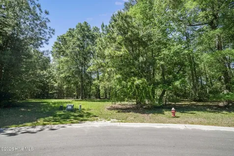 195 Long Leaf Drive Wallace NC 28466
