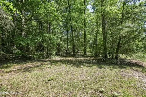 195 Long Leaf Drive Wallace NC 28466