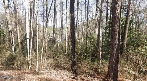 1669 Rainey Drive Spring Lake NC 28390