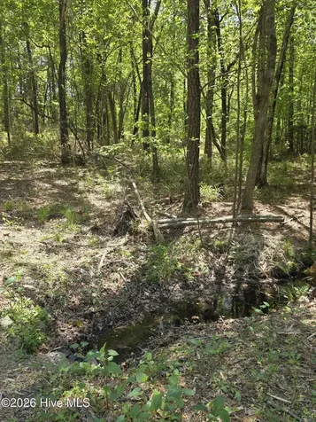 188 Shagbark Road Seven Lakes NC 27376