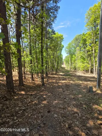 188 Shagbark Road Seven Lakes NC 27376