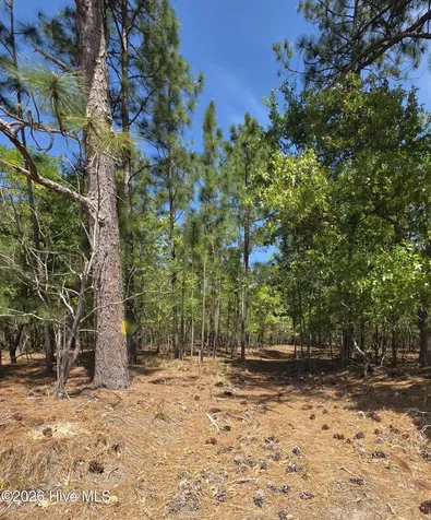 188 Shagbark Road Seven Lakes NC 27376