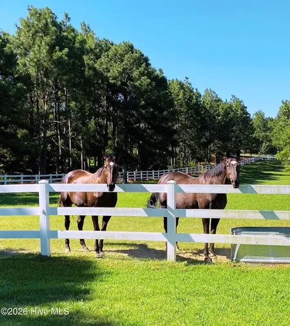 188 Shagbark Road Seven Lakes NC 27376