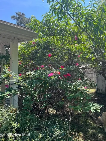 502 S Pine Cone Lane Jacksonville NC 28546