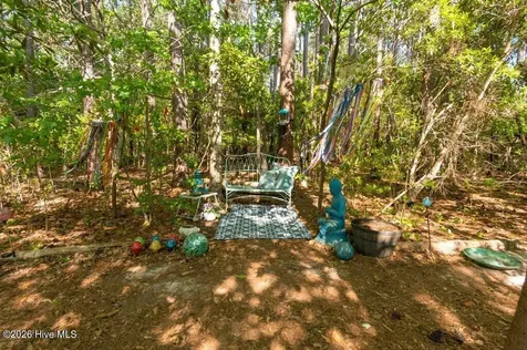 302 Big Pine Court Hubert NC 28539