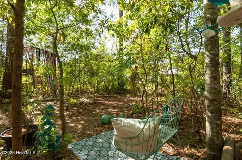 302 Big Pine Court Hubert NC 28539