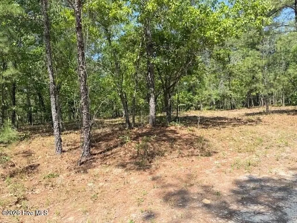 1028 Sorrell Drive Vass NC 28394