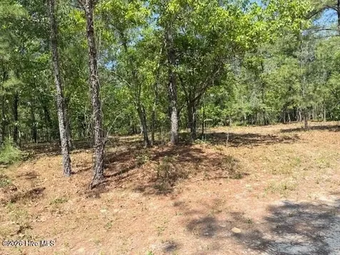 1028 Sorrell Drive Vass NC 28394