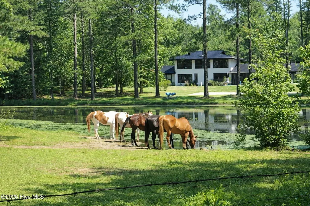 171 Dobbins Lane Rockingham NC 28379