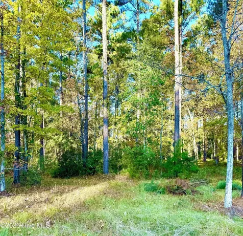 219 Ocracoke Drive Oriental NC 28571