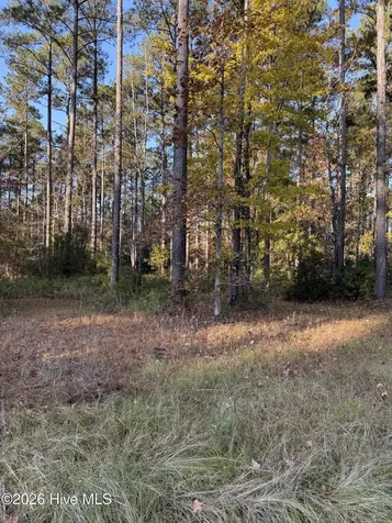 219 Ocracoke Drive Oriental NC 28571