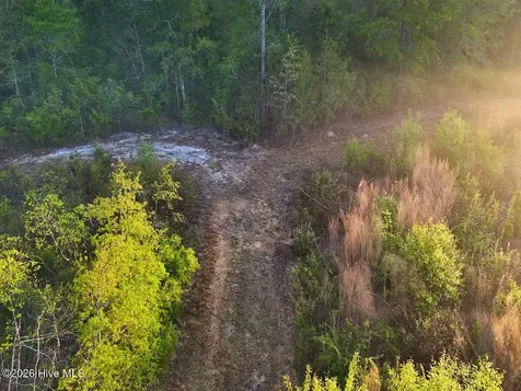 0 Durwood Evans Road Beulaville NC 28518