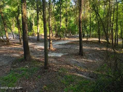 0 Durwood Evans Road Beulaville NC 28518