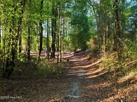 0 Durwood Evans Road Beulaville NC 28518