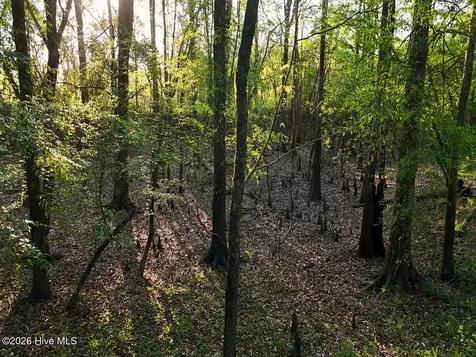 0 Durwood Evans Road Beulaville NC 28518