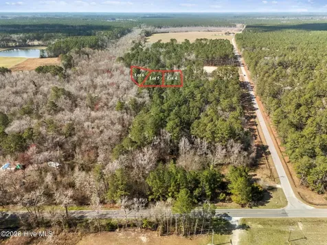 Lot 4 Peach Court Burgaw NC 28425