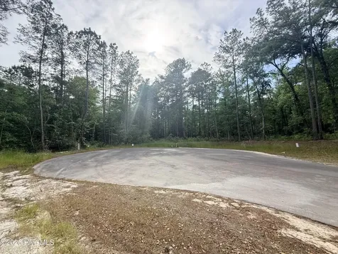 Lot 4 Peach Court Burgaw NC 28425