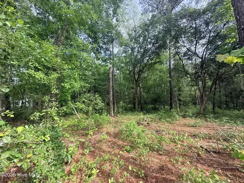 Lot 4 Peach Court Burgaw NC 28425