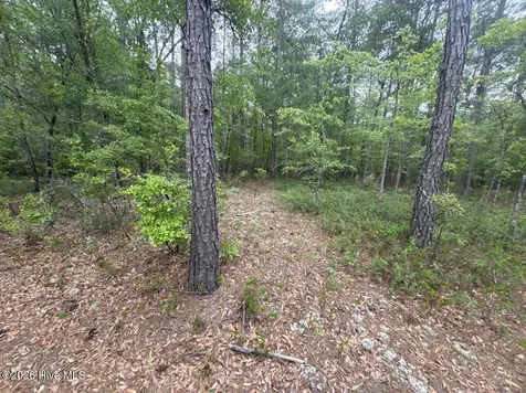 5, 6, 7 53 Off Highway Atkinson NC 28421