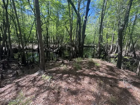 5, 6, 7 53 Off Highway Atkinson NC 28421