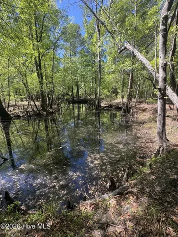 5, 6, 7 53 Off Highway Atkinson NC 28421