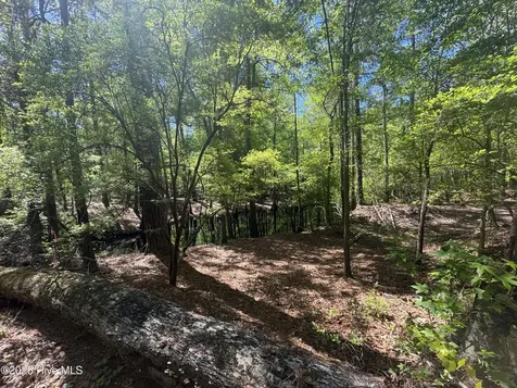 5, 6, 7 53 Off Highway Atkinson NC 28421