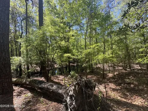 5, 6, 7 53 Off Highway Atkinson NC 28421