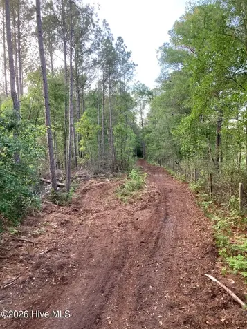 000 Harrell Road Burgaw NC 28425