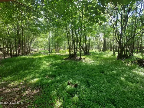 000 Harrell Road Burgaw NC 28425