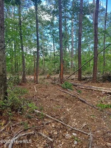 000 Harrell Road Burgaw NC 28425