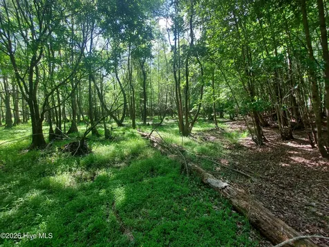 000 Harrell Road Burgaw NC 28425