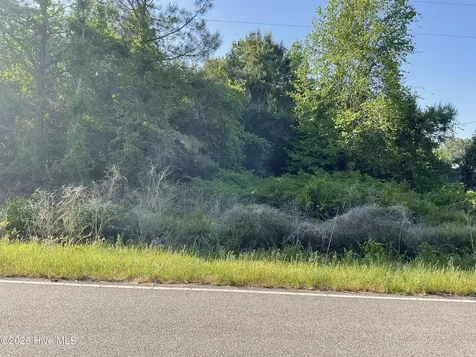 0 Bull Tail Road Wallace NC 28466