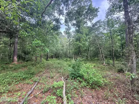 Lot 5 Peach Court Burgaw NC 28425