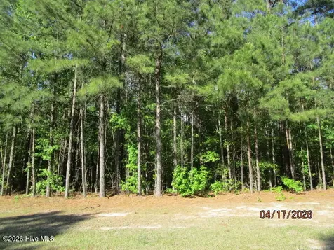 47 Boshers Point Drive Hertford NC 27944