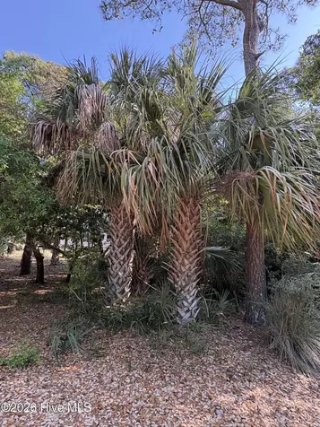 222 N Bald Head Bald Head Island NC 28461