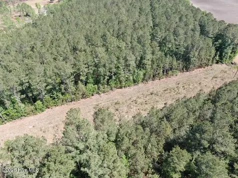 20.51 Acre Sweat Drive Bladenboro NC 28320