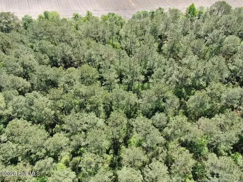 20.51 Acre Sweat Drive Bladenboro NC 28320