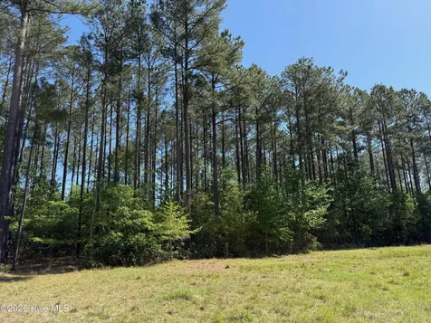 20.51 Acre Sweat Drive Bladenboro NC 28320