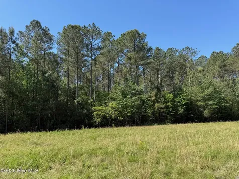 20.51 Acre Sweat Drive Bladenboro NC 28320