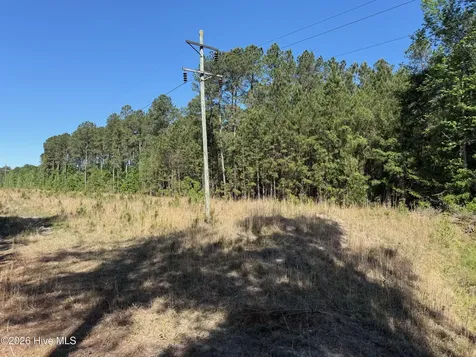 20.51 Acre Sweat Drive Bladenboro NC 28320