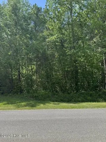 0 Borough Road Currie NC 28435