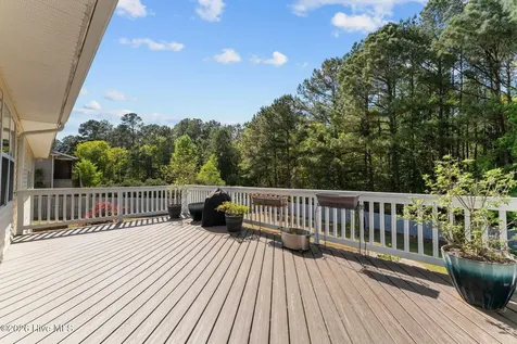355 Queens Cove Way Carthage NC 28327