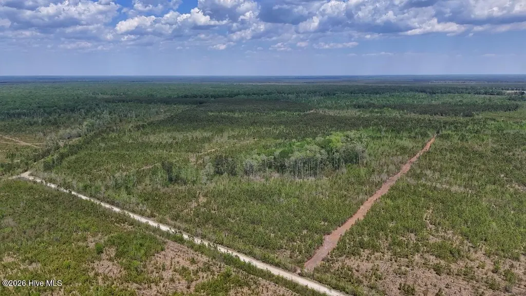 0 Guinea Mill Road Ernul NC 28527