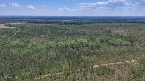 0 Guinea Mill Road Ernul NC 28527